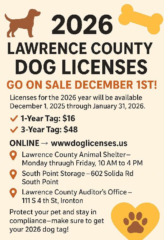 Dog Licence