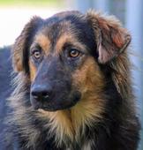 Tucker